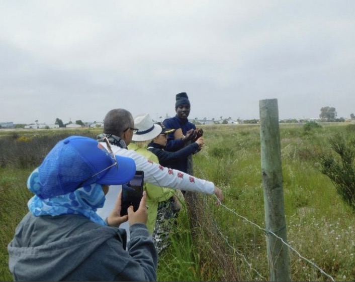 Conservation Wise Milnerton Racecourse October –December 2025